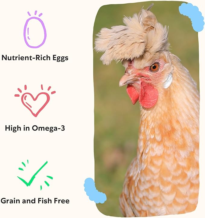 Grubbly Farms Omega Mix Chicken Treats for Laying Hens - Superfood and Omega-Rich Chicken Feed Supplement to Support Egg Production Strong Eggshells and Nutritious Yolks - 5LB