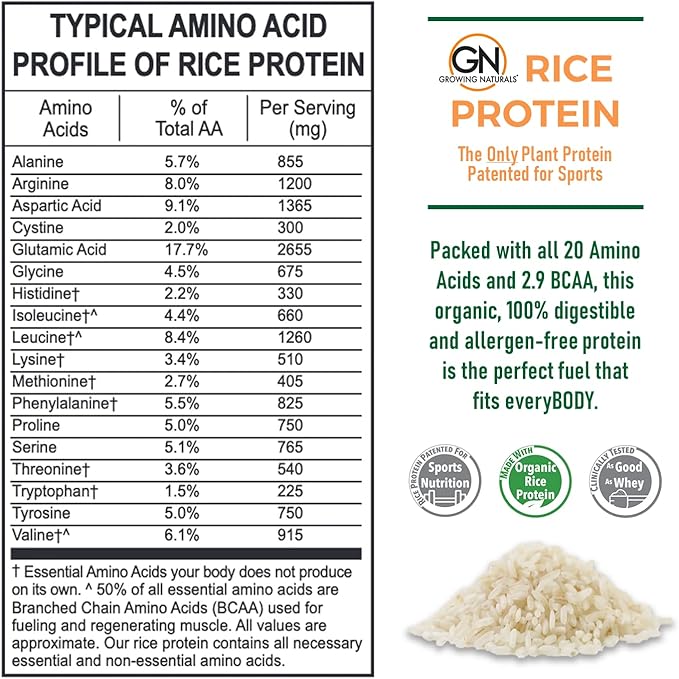 Growing Naturals Organic Premium Rice Protein Powder Chocolate Power Non-GMO Vegan 16.8 Ounce