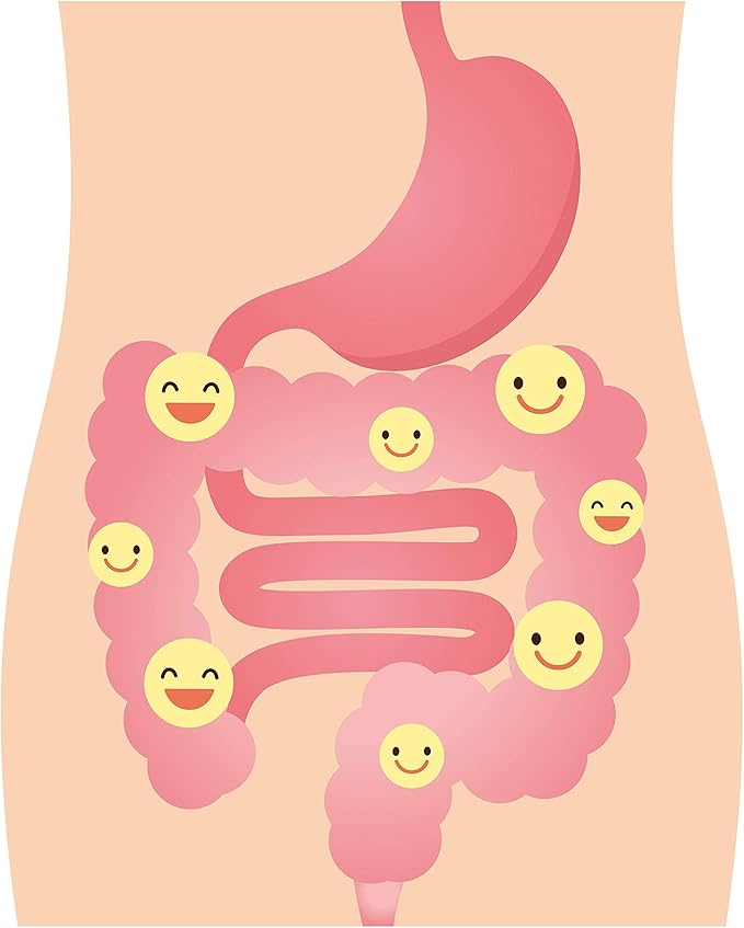 DrFormulas Cranberry Probiotics for Women Vaginal Health &amp Urinary Tract with Fiber Prebiotic &amp D Mannose | Nexabiotic Feminine Health Vaginosis with Lactobacillus Acidophilus for Yeast 60 C