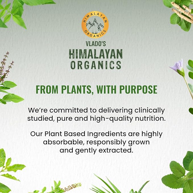 Himalayan Organics Organics Multivitamin Sports with 60+ Nutrients | Vitamin B1B2B3B5B6B12AECDKBiotinCalciumZinc | Good for Brain Eye Muscle &amp Joint Care - 60 Veg Tablets