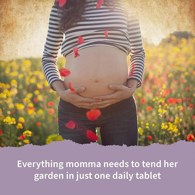 Garden of Life Prenatal Vitamins for Women Organics Folate for Energy &amp Healthy Fetal DevelopmentNon-constipating IronVitamin C B6 B12 D3Non-GMOGluten-Free Vegan 90 Day Supply (Pack of 2