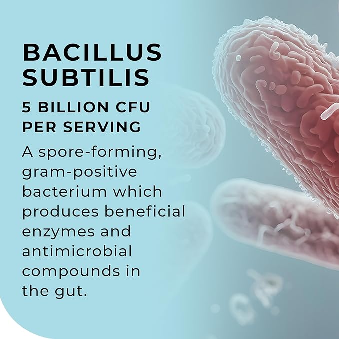 MultiSpore® Plus (Bacillus Coagulans &amp Bacillus Subtilis) Spore Based Probiotic | 120 Capsules - 4 Month Supply | Bloating Relief/Gut Health | Includes Digestive Enzymes &amp Prebiotic Inulin | U
