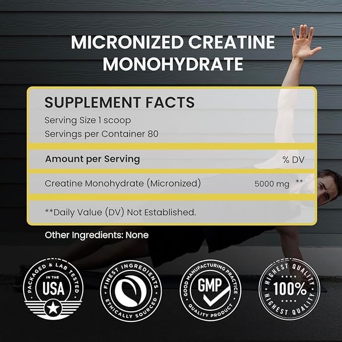 UpNourish Vegan Sport Protein Chocolate and Micronized Creatine