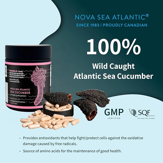 Wild Sea Cucumber Supplement Capsules Antioxidant Healthy Energy Supplement with Fucosylated Chondroitin Sulfate Collagen Glycosides Vitamins Minerals(Pack of 1)