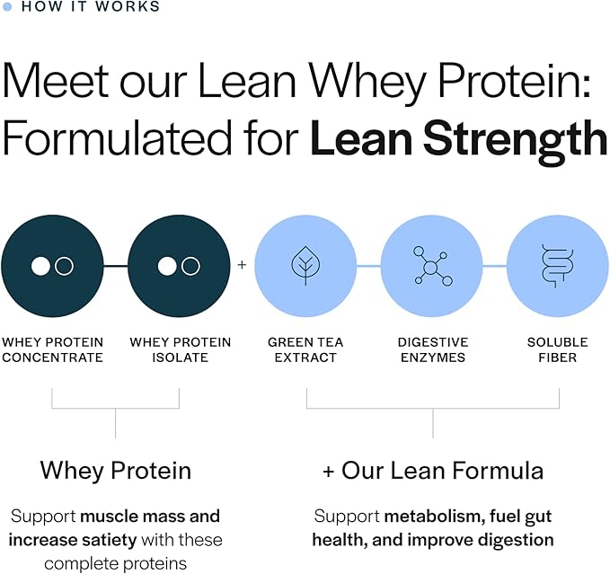 Gainful Lean Whey Protein Powder &amp Sweet Treat Flavor Bundle 20g Protein Supports Lean Muscle Metabolism and Satiety with Green Tea Extract &amp Digestive Enzymes14 Servings + 14 Flavor St