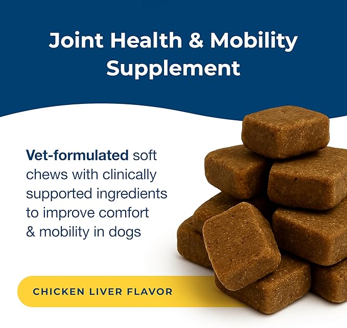 PetAg Dyne Soft Chews Joint Health &amp Mobility Supplement - Vet-Formulated for Dogs - with UC-II® Collagen - Up to 4X More Effective Than Glucosamine/Chondroitin - 45 Chicken Liver Flavor Chews