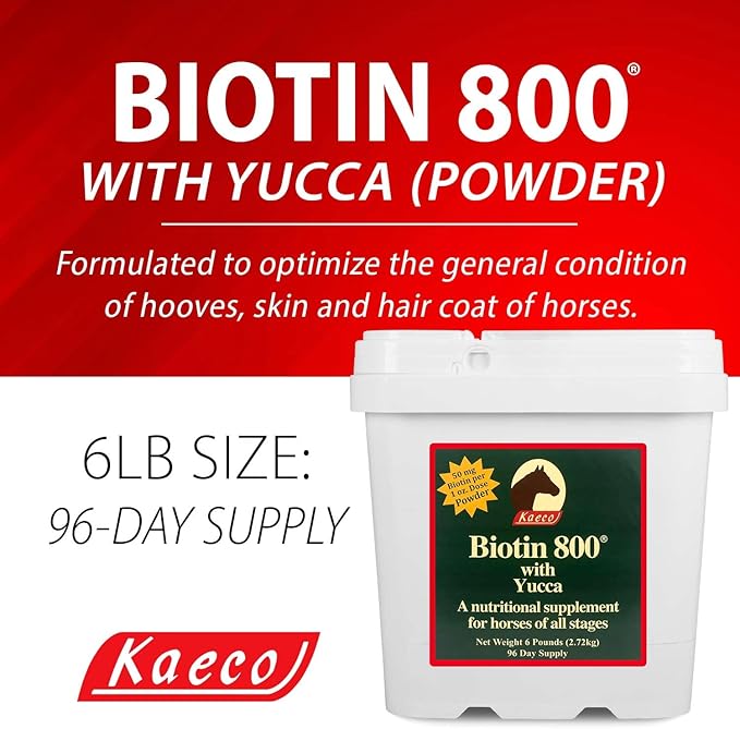 BIOTIN 800 Powder 6LB D/S