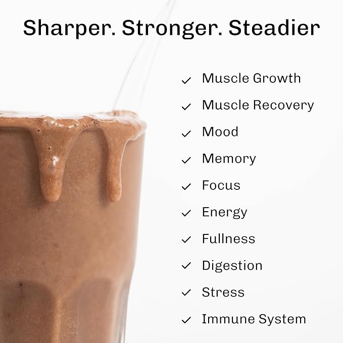 MUDWTR Nourish | Chocolate Mushroom Protein Powder | 2000mg Adaptogenic Mushrooms | Vegan Protein Powder | USDA Organic | Focus Mood &amp Digestion Support | Cacao Lion's Mane Bacopa | 15 Serving