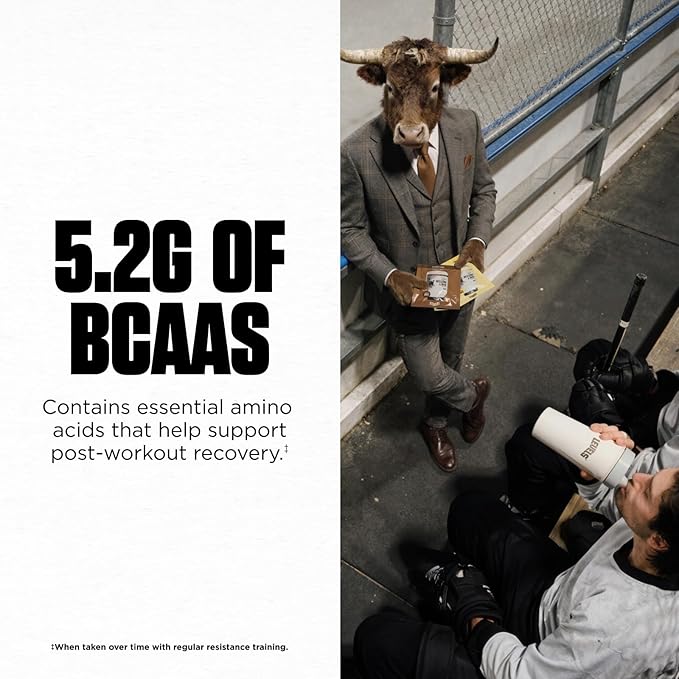 Levels 100% Micellar Casein Protein Hormone Free Vanilla Bean 4LB