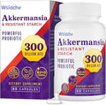 300 Billion AFU Akkermansia Probiotic | supplement for Women &amp Men Akkermansia Muciniphila for Akkermansia Digestive Gut Immune Enhances Gut Digestive Lining function Akka Superbiotics - 60
