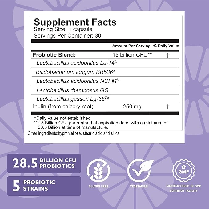 Celebrate Bariatric Essentials Bundle – CelebrateONE Multivitamin Iron with Vitamin C Chewables &amp Balance Probiotic + Prebiotic – Complete Nutritional &amp Digestive Support for WLS Patients