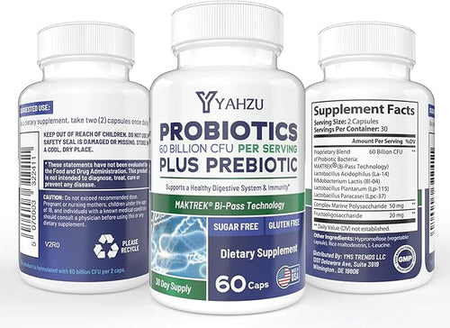60 Billion CFU Probiotics with Prebiotic Fiber – Synbiotic Digestive &amp Immune Support for Men &amp Women 4 Clinically Researched Strains 60 Vegan Capsules