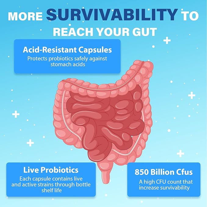 Probiotics for Men Advanced 50+ Mens Probiotic Comprehensive Gut &amp Energy Support with 850 Billion CFU 1800mg Prebiotics Fiber – Tailored Wellness Mens probiotics for Gut Health Over 50 360 Ca