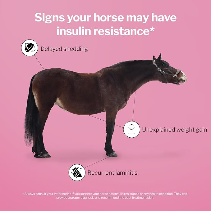 Formula 707 MetaStable Pellets for Horses 5 lb Bag – 40 Servings – University-Studied Support for Horses with Laminitis Insulin Resistance &amp Metabolic Disorders
