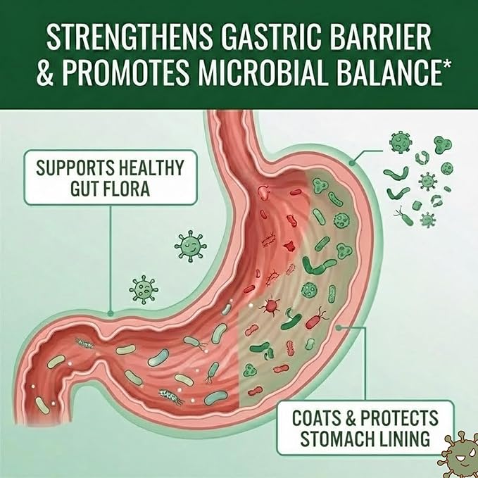 Approved Science Pyloriprin - Advanced Digestive Support for A Healthy Stomach - Zinc L-Carnosine Probiotic Broccoli Sprout Deglycyrrhized Licorice - 60 Capsules - One Month Supply - Vegan