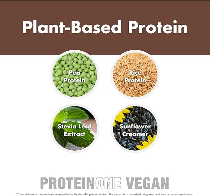 NutraOne ProteinOne Vegan Plant-Based Protein Powder Vegan Protein Powder Dairy-Free Pea and Rice Protein (Chocolate Milk)
