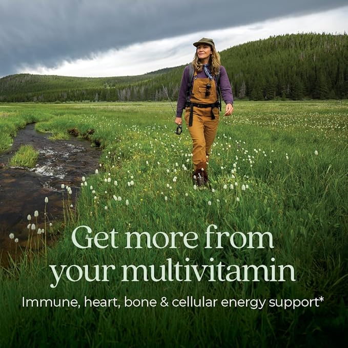 New Chapter Women’s Multivitamin 55+ Astaxanthin B6 B12 D3 Vitamin C &amp Zinc Immune Heart Cellular Energy and Bone Support Gentle on The Stomach One Daily Non-GMO Gluten-Free 72 Table
