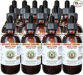 Psyllium Alcohol-Free Liquid Extract Psyllium (Plantago Ovata) Seed Glycerite Natural Herbal Supplement Hawaii Pharm 15x4 fl.oz