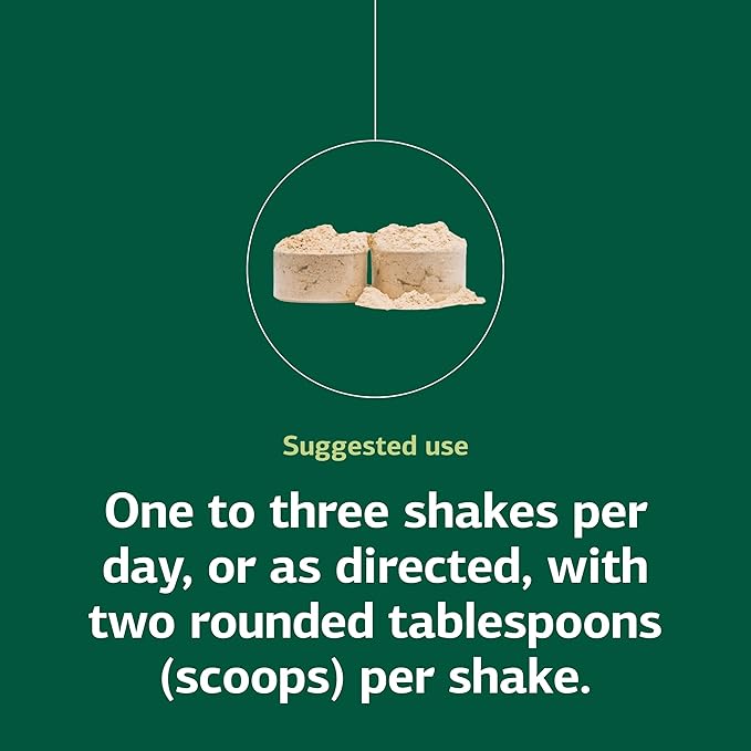 Standard Process SP Complete Dairy-Free - Rice Protein Powder for Amino Acid Support - Supports Gut Health Liver Function &amp Immune Health - Vegan Vegetarian &amp Gluten-Free - 2 lbs (907 g)