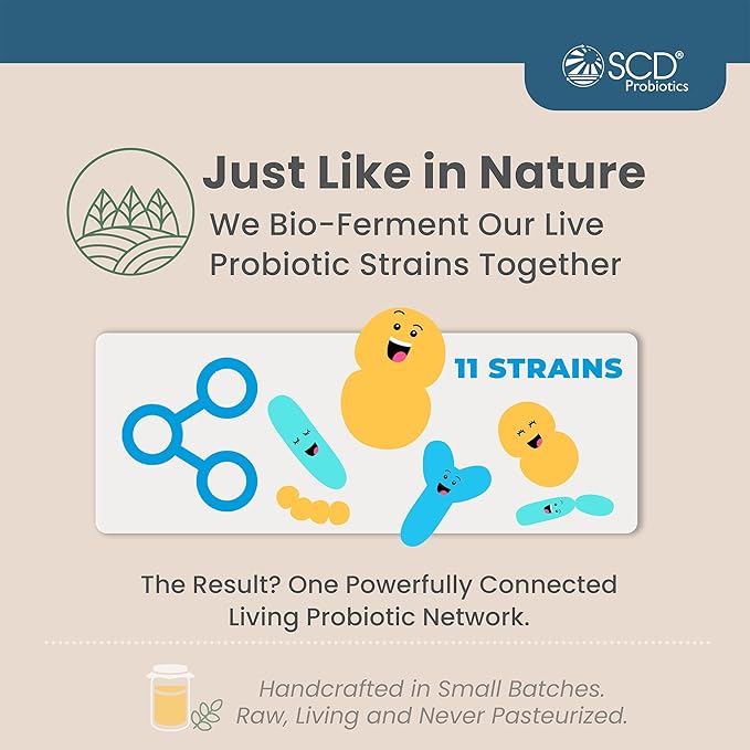 SCD Essential Probiotics for Women Men Kids and Toddlers Live Probiotic for Digestion and Immunity Gut Health Liquid Probiotic Supplement with 11 Strains – 16.3 fl oz by SCD Probiotics