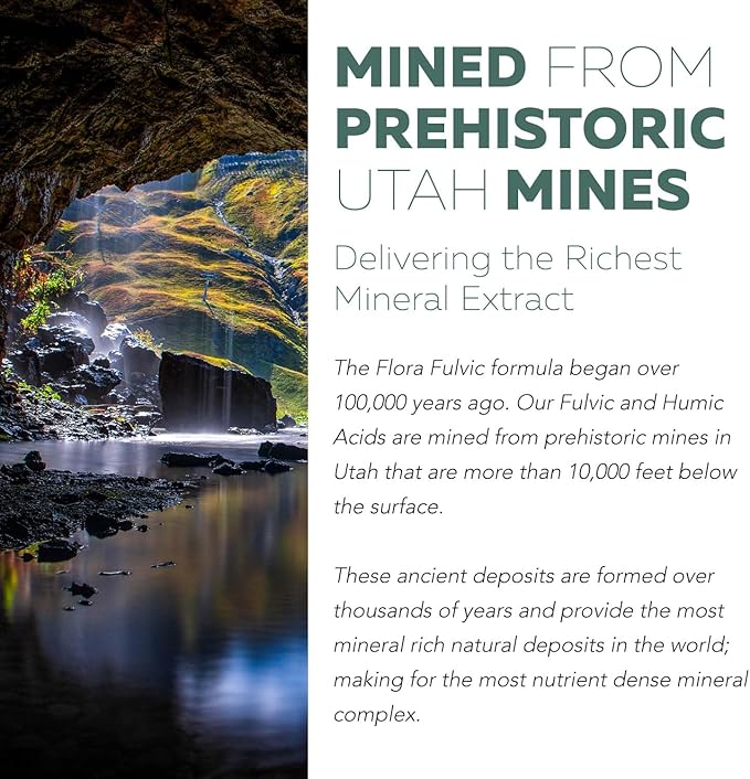 Flora Fulvic | Fulvic Acid + Humic Acid Complex – 550 mg | Mined in Utah Prehistoric Deep Earth Extract | Immunity Gut Digestion – Natural Trace Mineral Complex Fulvic Acid Supplement – 8 fl oz.