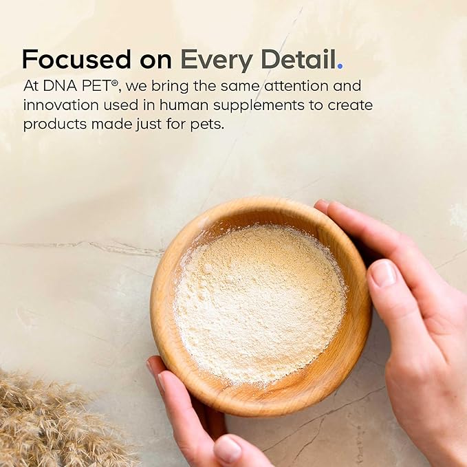 Algal Oil Complex for Dogs – Omega 3 &amp 6 Fatty Acids with EPA &amp DHA from Microalgae – Fish-Free Omega Oil Supplement for Dogs – All Breeds – 60 Softgels