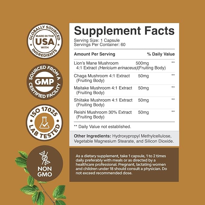 Bundle of Nootropic Memory Supplement with Vitamin B 12 Bacopa Monnieri Rhodiola Rosea DMAE Ginkgo Biloba and Advanced Lion's Mane Mushroom Supplement - Reishi Chaga Maitake Shiitake for Brain Support