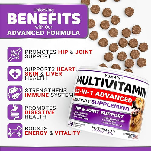 2-Pack Dog Multivitamin Chewable with Glucosamine - Dog Vitamins and Supplements - Senior &amp Puppy Multivitamin for Dogs - Hip &amp Joint Support - Immune Health Skin Heart Digestion Probiotic