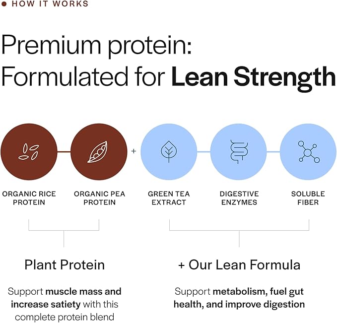 Gainful Lean Plant Protein Powder &amp Sweet Treat Flavor Bundle 20g Plant Protein Supports Lean Muscle Metabolism &amp Satiety with Green Tea Extract Vegan 14 Servings + 14 Flavor Sticks