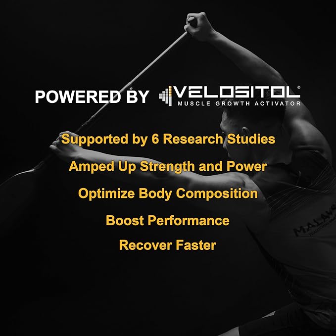 Vegan Sport Protein Powder Chocolate 20 servings – 30g Plant Based Protein VELOSITOL BCAAs Organic Greens &amp Fruits Probiotics Tart Cherry for Post Workout Recovery Inform Sports Certified Ke