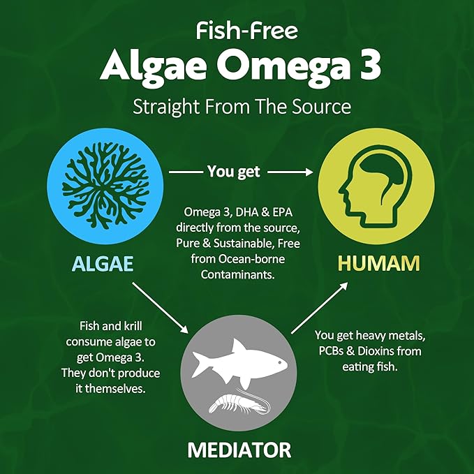 Vegan Omega 3 Gummies 1 Pack + Phosphatidylserine Gummies Sugar Free 2 Pack