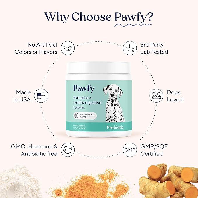 Pawfy Probiotics for Dogs | Supports Digestive Health Diarrhea for Small Large Dogs | Improves Gut Health | Anti Yeast Supplements | Skin Health Seasonal Allergies Support - 30 Chews (Bacon)