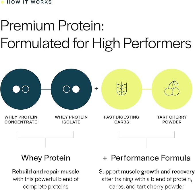 Gainful Performance Whey Protein Powder &amp Neapolitan Flavor Bundle 25g Protein Supports Muscle Growth Recovery and Endurance No Artificial Ingredients 14 Servings + 14 Flavor Sticks