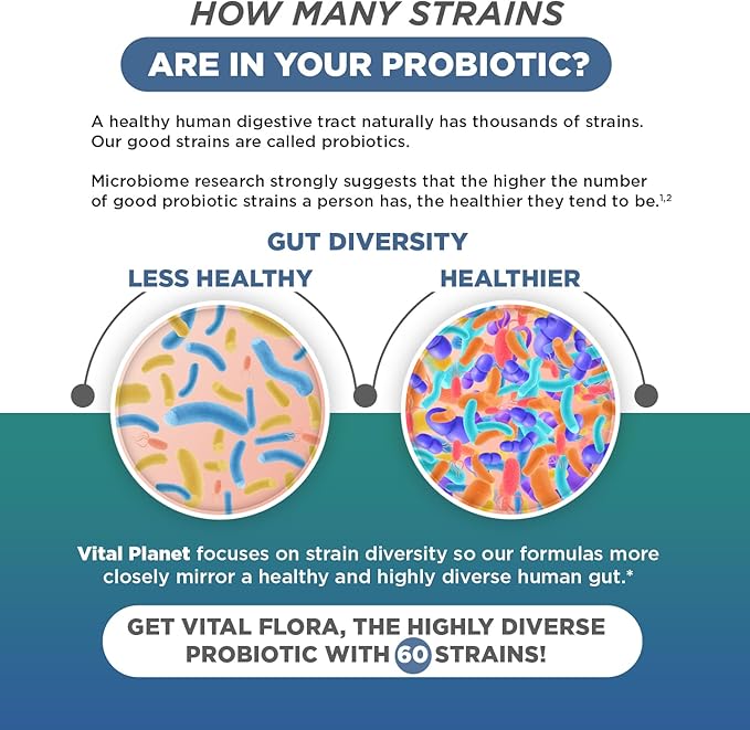 Vital Planet - Vital Flora Ultra Daily Probiotic 60 Billion CFU Diverse Strains Organic Prebiotics Immune Support Bloating Relief Digestive Health Probiotics for Women and Men 30 Capsules
