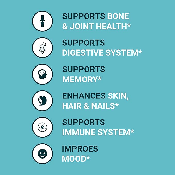 Zammex Bone Broth Protein Powder Chocolate+Vanilla Flavor