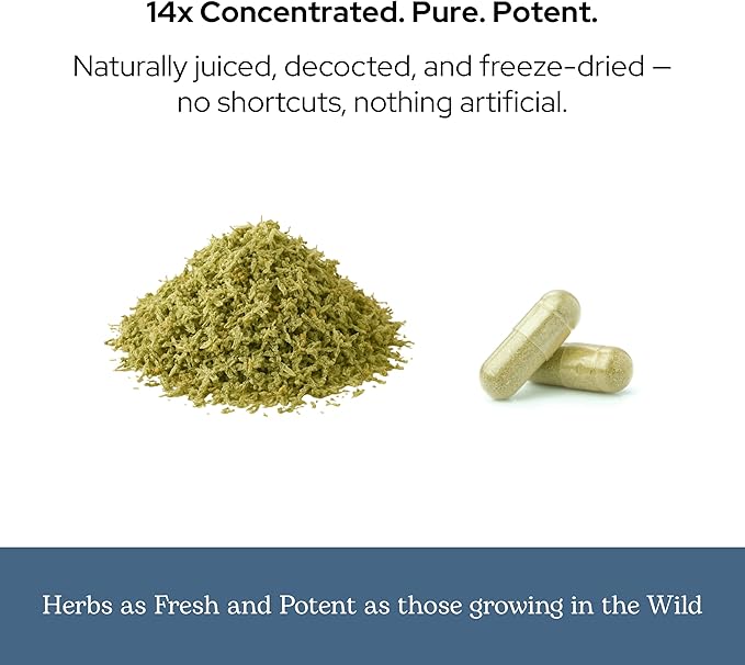 Eclectic Herb - ParaFight Capsules | Intestinal Support + Detox | Non-GMO Vegan Gluten Free (45 CT | 350 mg)