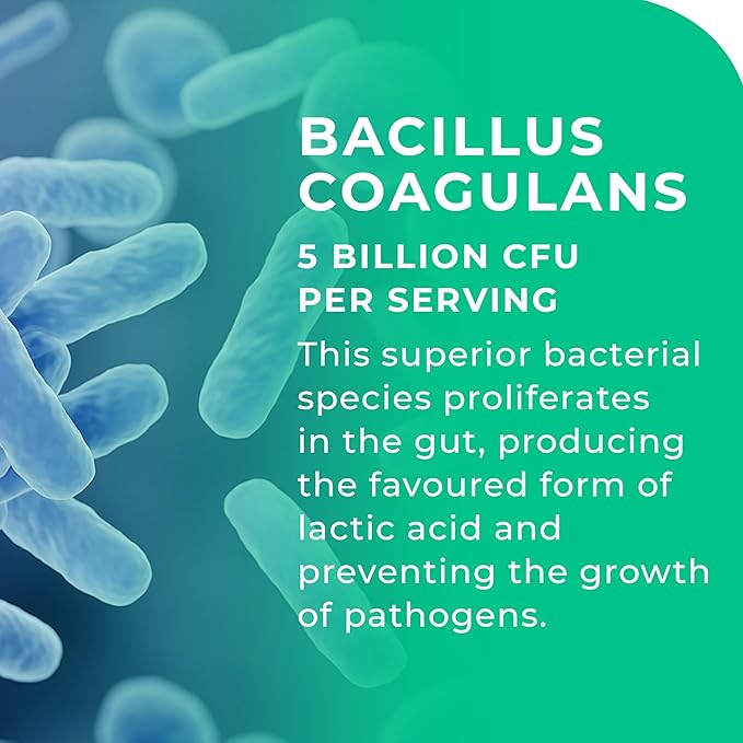 MultiSpore® Plus (Bacillus Coagulans &amp Bacillus Subtilis) Spore Based Probiotic | 120 Capsules - 4 Month Supply | Bloating Relief/Gut Health | Includes Digestive Enzymes &amp Prebiotic Inulin | U