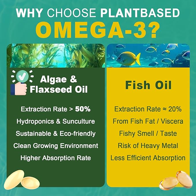 2 Pack Vegan Omega 3 D3 K2 CoQ10 Supplement Plant Based DHA EPA ALA for Women Men Omega 3 Organic Algae Flaxseed Oil Supplement for Bone Brain Eye &amp Immune Support No Carrageenan 240 Softgel