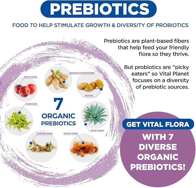 Vital Planet - Vital Flora Probiotics for Women 60 Billion CFU Diverse Strains Daily Shelf Stable Probiotic with Organic Prebiotics for Vaginal Support Immune and Digestive Health 30 Capsules