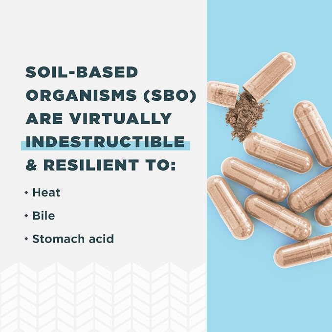 Ancient Nutrition Probiotics for Men SBO Probiotics Men's 60 Ct for Gut Health Digestive and Immune Support Boosts Muscle Mass and Fat Metabolism 25 Billion CFUs* Per Serving