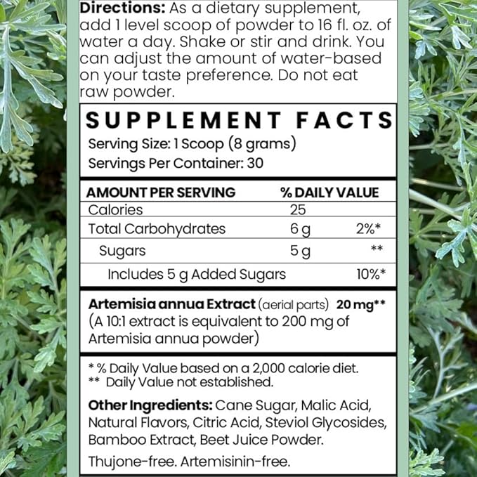 Artemisia Annua Sweet Wormwood Herbal Powder | Leaf Extract Brain Supports | Artemisinin Supplement | Sweet Wormwood Organic Extract | Non-GMO Vegan Gluten-Free | 30 Servings/8.5 Oz (240g)