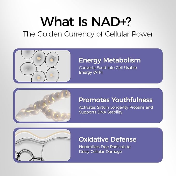 NADH 20mg Supplement 60 Vegetarian Tablets - Nicotinamide Adenine Dinucleotide Boosts NAD+ Levels for Cellular Energy Support &amp Active Aging Caffeine-Free Daily Fatigue Defense
