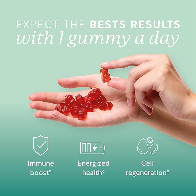 Bears with Benefits Immune Support Gummies – Vitamin C D B6 &amp B12 – Daily Immune Boost – Vegan Naturally Flavored (90 Gummies)
