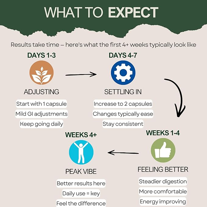 GutVibe™ Probiotic with S. boulardii &amp B. infantis – 4-Strain Formula 22B CFU – Supports Digestion Gut Health &amp Occasional Bloating for Women &amp Men – 60 Capsules 30-Day Supply