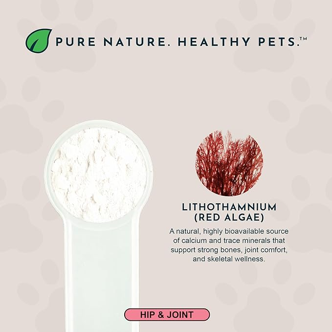 Animal Essentials Sea-Cal - Pure Seaweed Calcium Powder for Dogs with Magnesium Joint Supplement for Dogs &amp Cats for Healthy Bones &amp Teeth Joint Health Vegan Icelandic Seaweed Calcium - 12