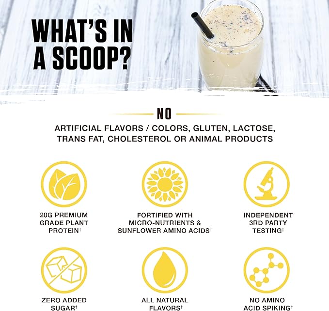 Ambrosia Planta - Premium Plant-Based Protein | Vegan &amp Keto Friendly | Gourmet Flavors with No Bloating or Stomach Upset | Gluten &amp Soy Free | No Added Sugar | 14 Servings | (Vanilla)