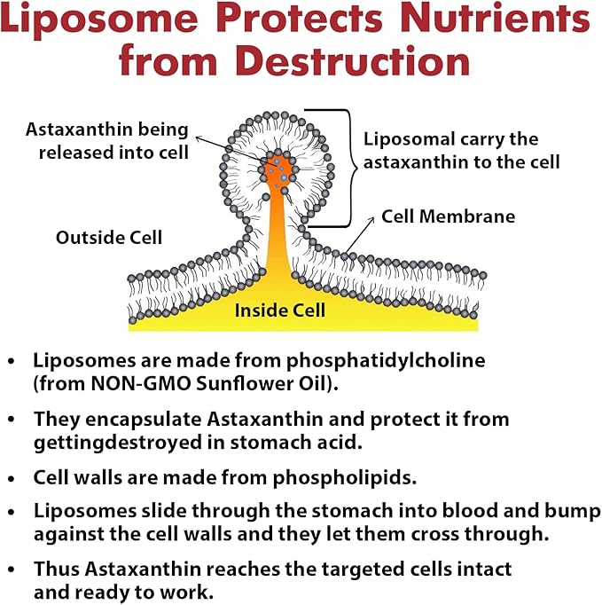 Liposomal Astaxanthin Supplement 24MG Maximum Absorption Antioxidant Stronger Than VIT C Non-GMO &amp Gluten Free - 120 Softgels(4 Months Supply)