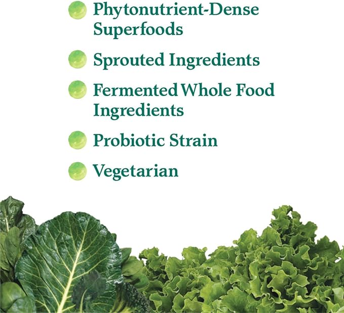 Garden of Life Perfect Food Super Green Formula - 30 Servings 45 Superfoods Greens Fruit and Veggie Juice Superfood Powder Supplement Probiotics Organic Spirulina for Digestion and Immune Health