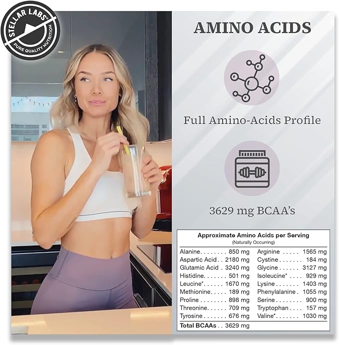 Stellar Labs Vegan Protein Powder with BCAA's &amp Antioxidants | Certified Low FODMAP Non GMO Gluten Free Soy Free Low Carb with Stevia | Lean Plant Based Protein Powder Shakes | Chocolate
