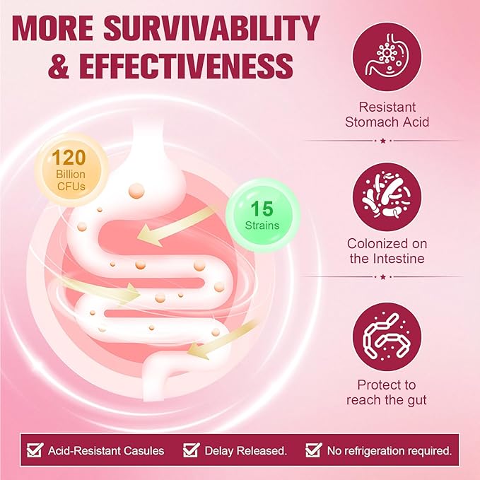 Totaria Probiotics for Women 120 Billion Women Probiotic with Akkermansia Digestive Enzymes &amp Prebiotics Cranberry D-Mannose for Gut Vaginal Urinary Immune PH Balance 120 Vegan Capules
